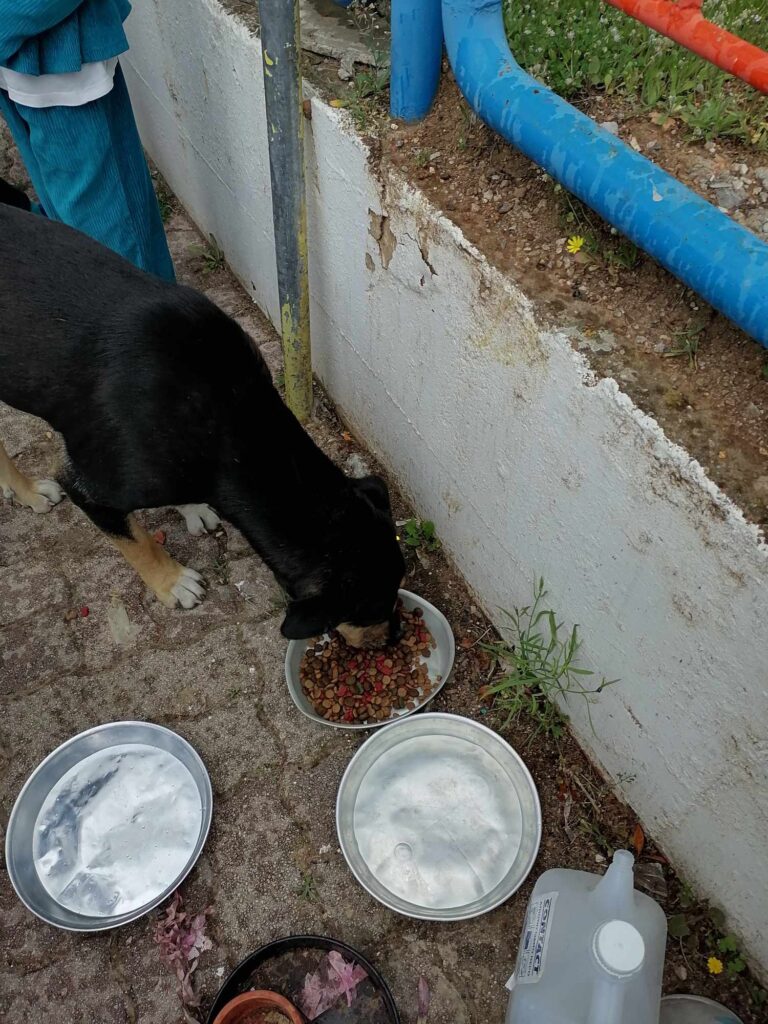 d043ceb3 4b8d 4f47 a076 cc7ad5914511