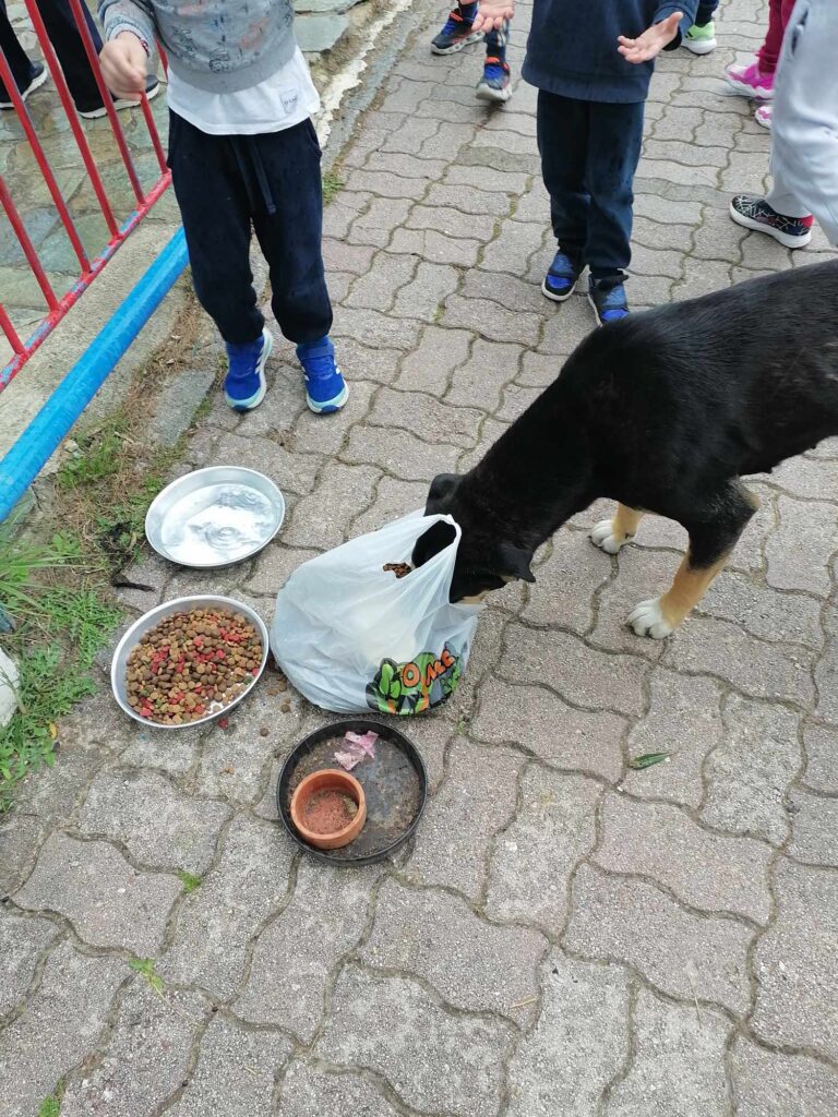 f64bb7a3 e420 4473 a31f 2d0308456dbb